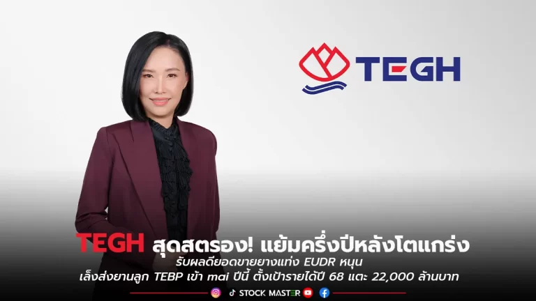 TEGH แย้มครึ่งปีหลังโตแกร่งรับผลดียอดขายยางแท่ง EUDR หนุนเล็งส่งยานลูก TEBP เข้า mai ปีนี้ ตั้งเป้ารายได้ปี 68 แตะ 22,000 ลบ.