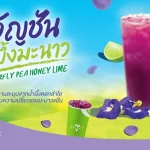 TACC ปลุกกระแสความสดชื่น ส่งเมนูเด็ด “อัญชันน้ำผึ้งมะนาว” คัมแบ็กใน 7-Eleven พร้อมขายทั่วประเทศ ตั้งแต่วันนี้ – 2 ก.ย.69 มั่นใจหนุนยอดขายครึ่งปีหลังเติบโตเข้าเป้า